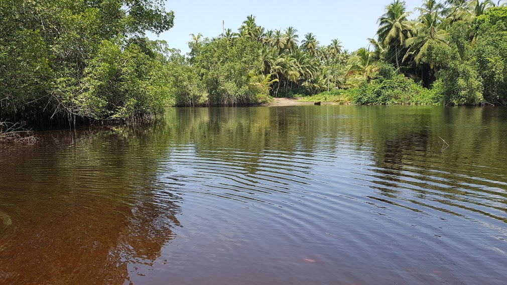 River Amanzule. At the other end is the canoe